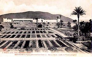 Beni-Ounif - Bureau Arabe - Jardin